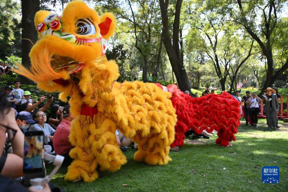 百家乐对子预测